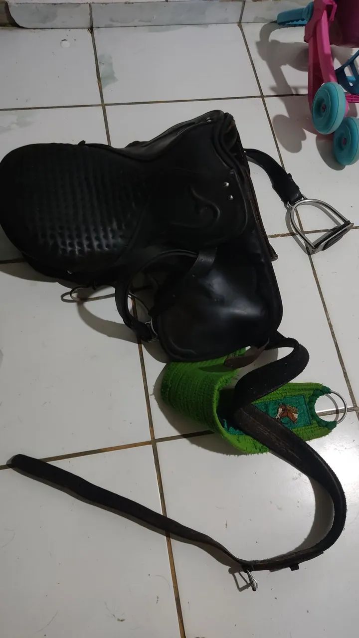 Vendo cela pra cavalo