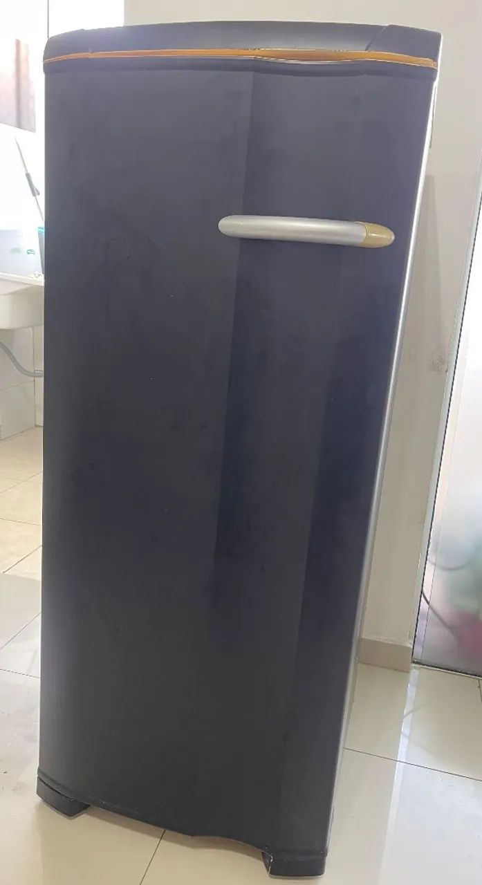Freezer - PRA VENDER HOJE - Foto 2
