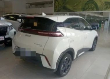 BYD Dolphin Mini (Elétrico) 2026 - Foto 2