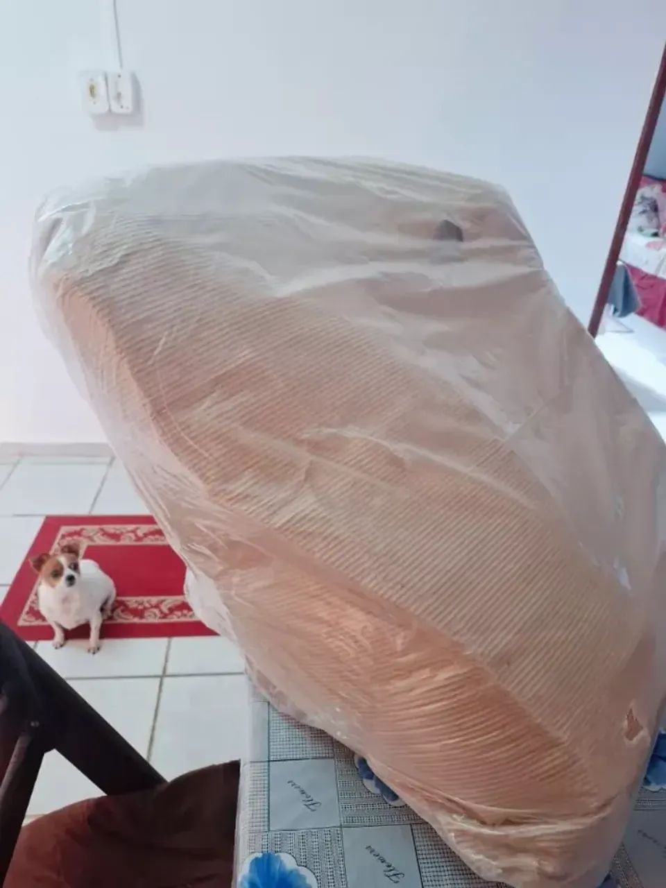 CADEIRA PÉTALA REFORÇADA COM PÉS PALITO ? NOVA NA CAIXA - Foto 2
