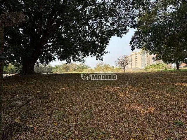 Terreno à venda, 3870 m² por R$ 1.550.000 - Dois Córregos - Piracicaba/SP - Foto 11