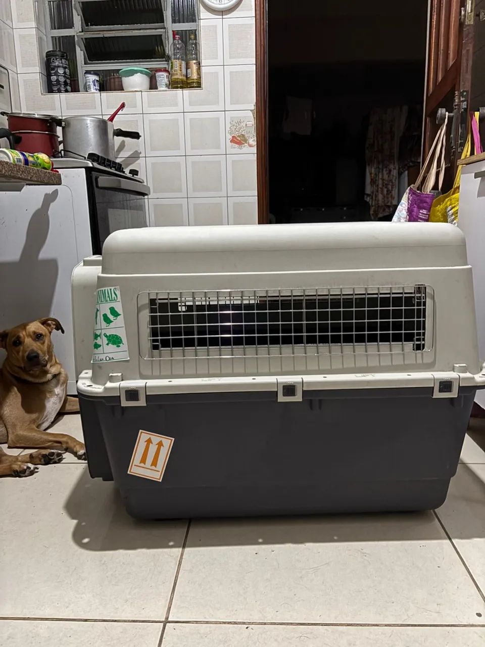 Caixa de Transporte Pet Grande / Kennel (Cachorros Médio e Grande Porte) - Foto 2