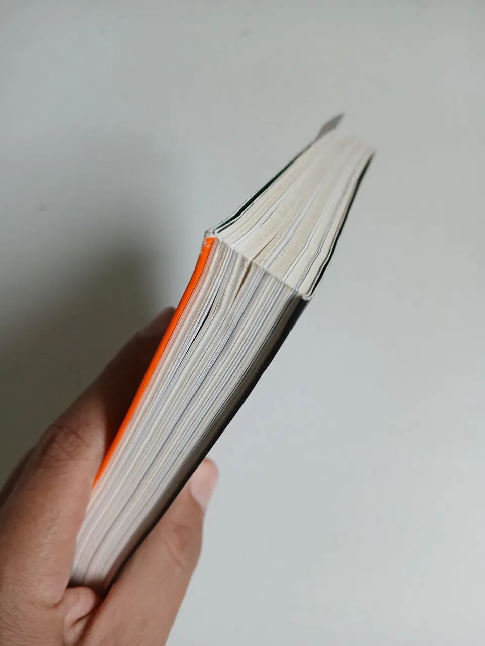 Autobiografia, Rita Lee - Foto 4