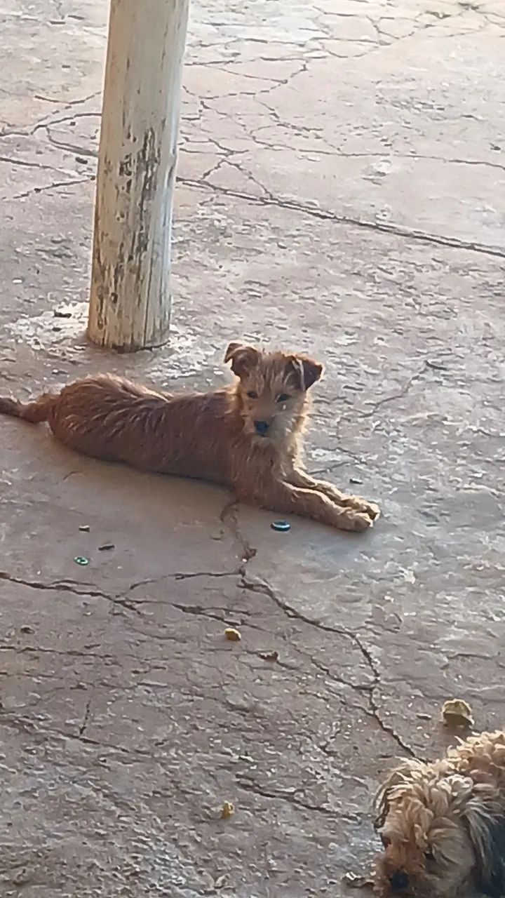 Doação responsável 