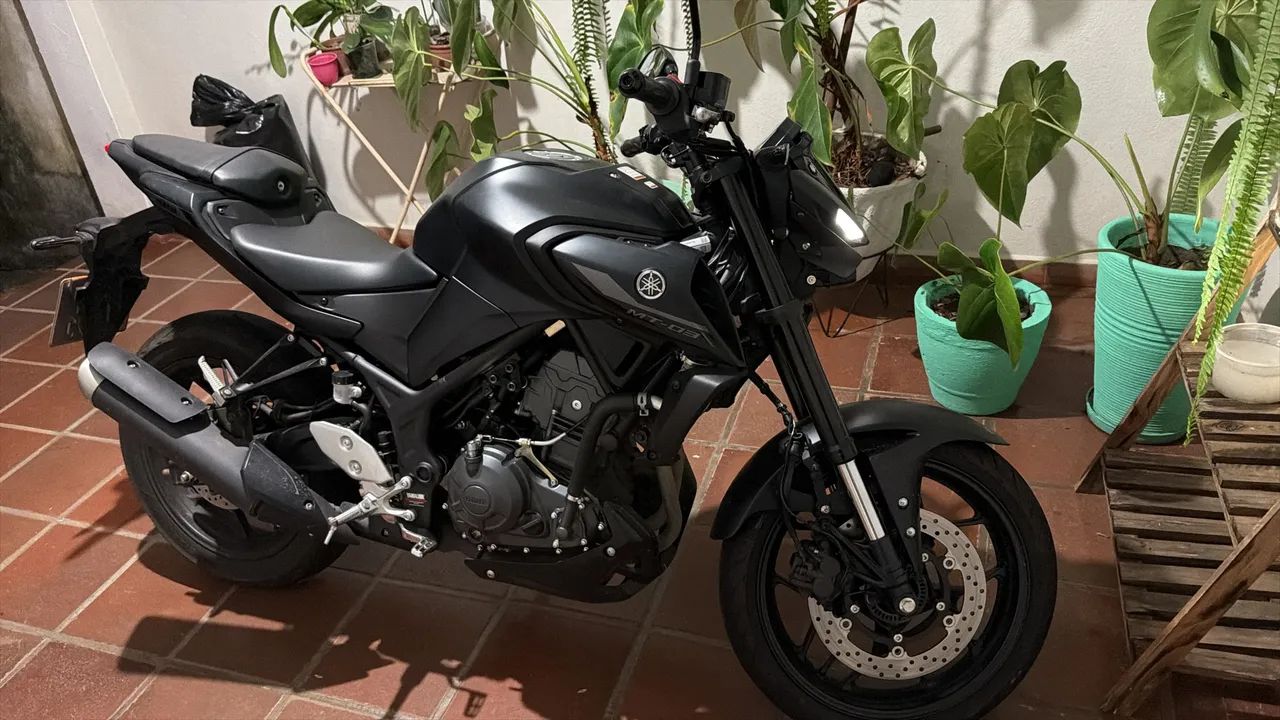 Mt 03 2026 