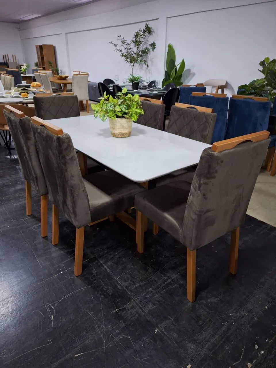 Conjunto mesa de jantar com 6 Cadeiras - MEDIDAS 160x90