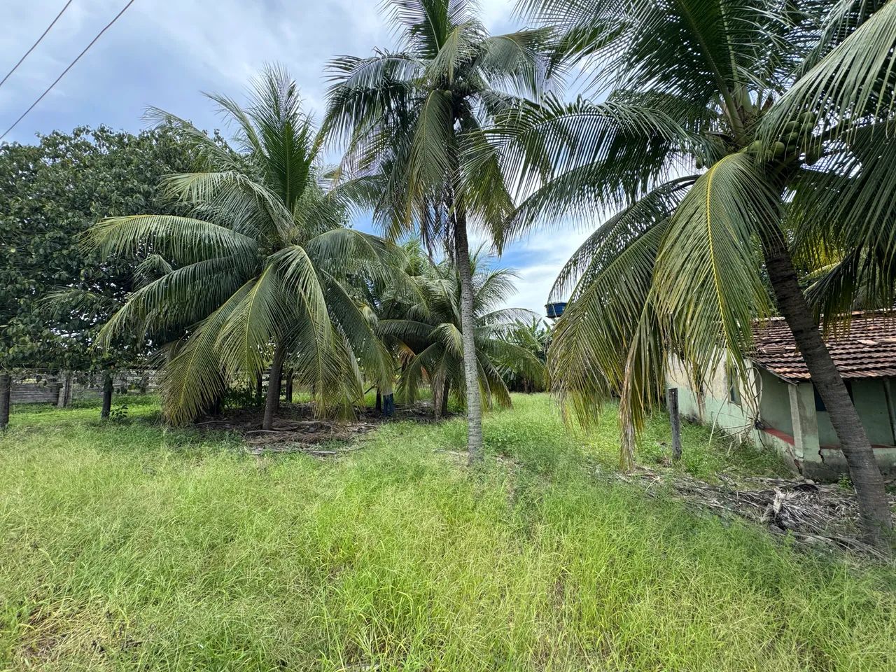 CHACARA A VENDA EM ITAPIRAPUA GO - Foto 4