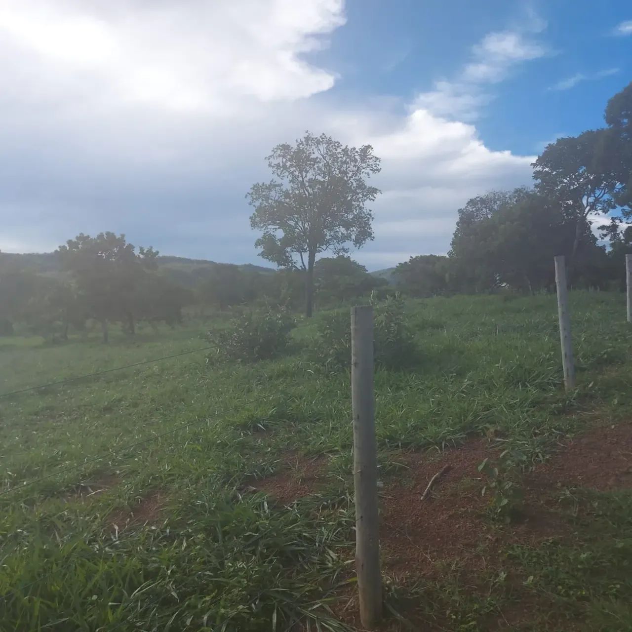 Vendo fazenda com 173 hectares na região de BONFINOPOLIS  próximo a Unai MG - Foto 5