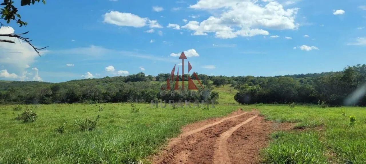 FAZENDA - SONORA - MS - Foto 2