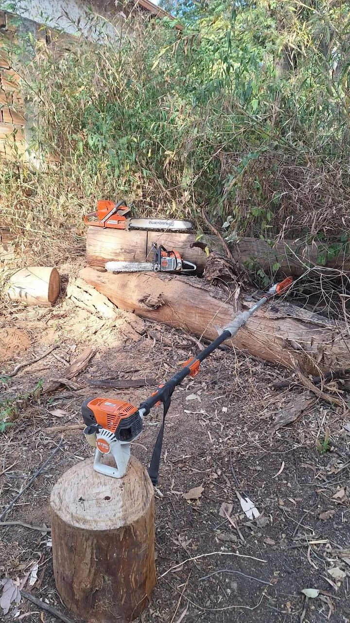 Poda e corte de árvores jardinagem em geral  - Foto 2