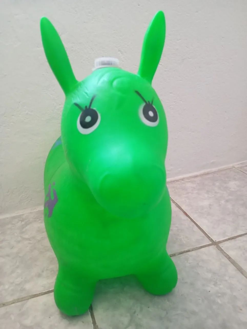 Burrinha  - Foto 2