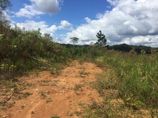 Sítio em Tunas do Parana - Foto 6