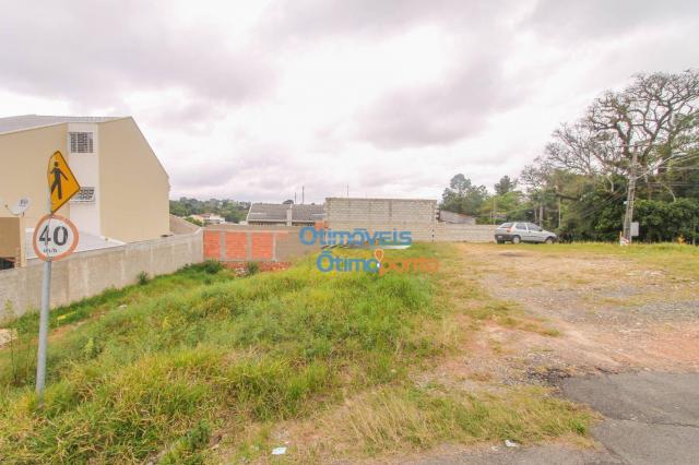 Terreno para alugar, 124 m² por r$ 1.000,00/mês - vista alegre - curitiba/pr - Foto 4