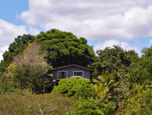 Apartamento para alugar com 3 dormitórios em Novo, Carpina cod:AL11JR - Foto 7