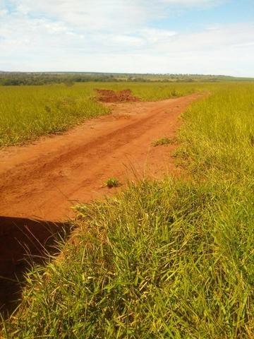 Terra para lavoura 30 km de Campo Grande - Foto 6