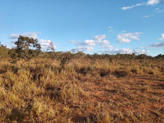 Fazenda - TAV60 - Foto 11