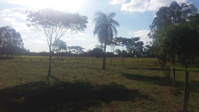 Chácara 3 Alqueires a 60 metros da cidade - Foto 9
