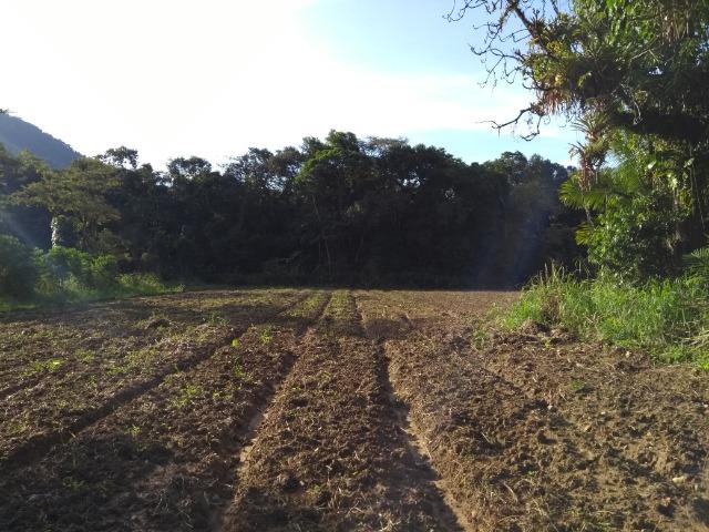 Terreno medindo 17 mil metros passando rio dentro e córrego - Foto 13