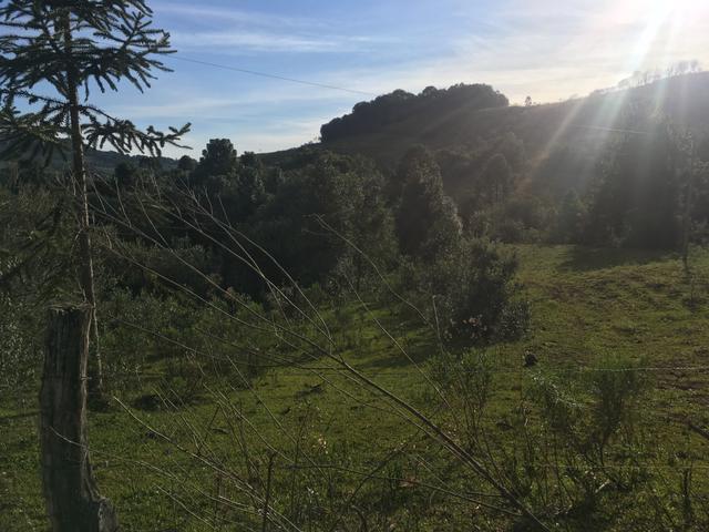 Terreno rural - Foto 10
