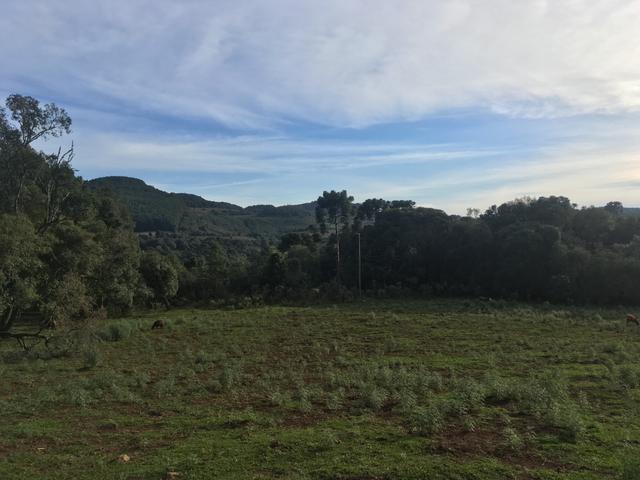 Terreno rural - Foto 11
