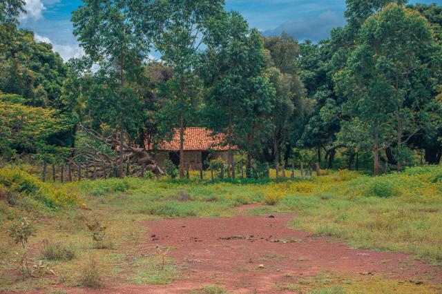 Fazenda para agricultura e pecuária