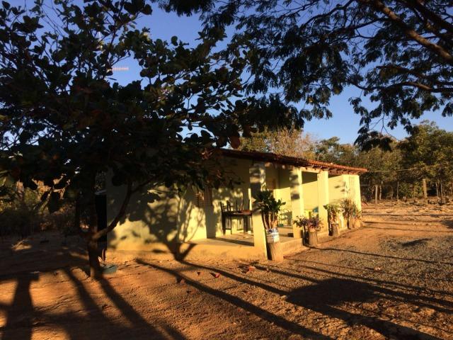 Chácara para venda em Formosa-GO - Foto 8