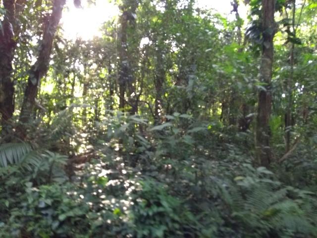 Terreno medindo 17 mil metros passando rio dentro e córrego - Foto 9
