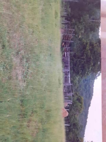 Vendo uma área de 116 há - Foto 2