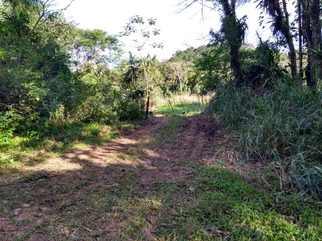 Área com 30 hectares com 600 metros de rio - Foto 13