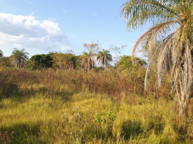 Chácara - Vão do Paranã - Formosa-GO - Foto 10