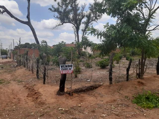 Vendo Terreno de esquina medindo 30 x 50 m em T. Lagoas.Ms - Foto 4