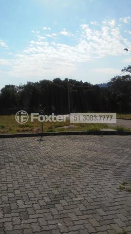 Terreno à venda em Campo novo, Porto alegre cod:190388 - Foto 6