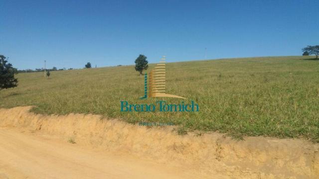 Fazenda à venda, 5227200 m² por r$ 10.800.000 - itabela - itabela/ba - Foto 9