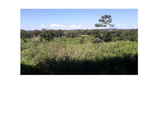 Paraíso,395 hectares, Beira Rio Manso,lazer, pescaria, moradia,Turismo. Oportunidade. - Foto 8