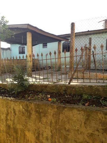 Terreno Jd. Paulista - C. Grande do Sul - Foto 6