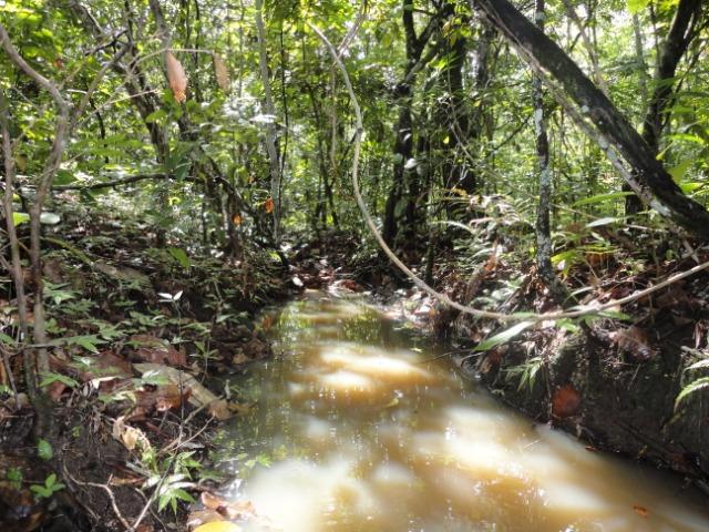 Sítio Chapada dos Guimarães 22 hectares - Foto 14