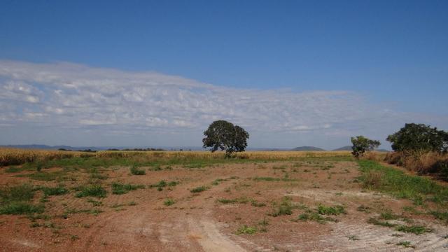 Fazenda em chapada com 970 hectares sendo 300 plantando - Foto 4