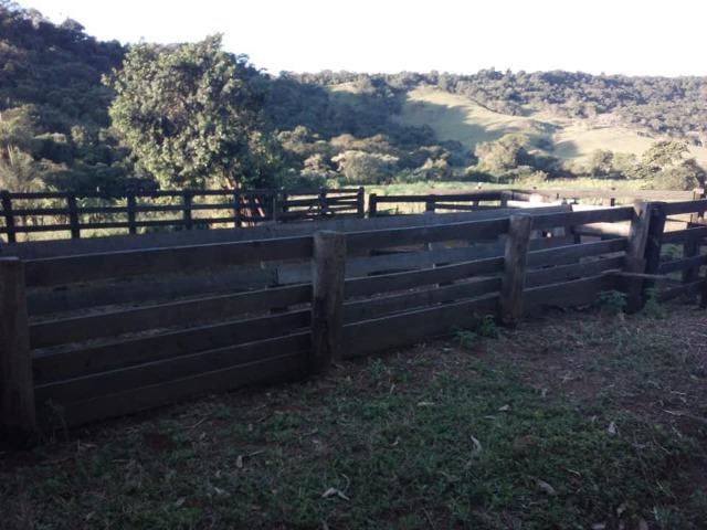 Sitio - Foto 8