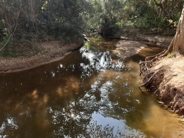 Chácara com 5 hectares na Agrovila das Palmeiras