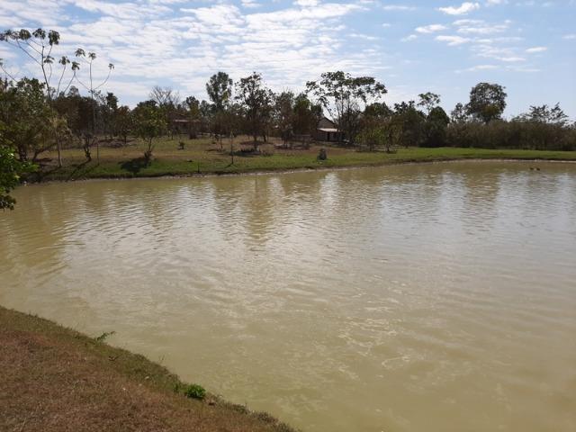 Chácara com 5 hectares no Rio Bandeira,com acesso de barco ao Rio Cuiabá - Foto 4