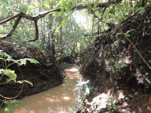 Sítio Chapada dos Guimarães 22 hectares - Foto 10