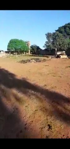 Chácara próximo a Vila Pedroso
