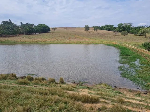 Fazenda de 15 alqueires  em Anápolis - Foto 4