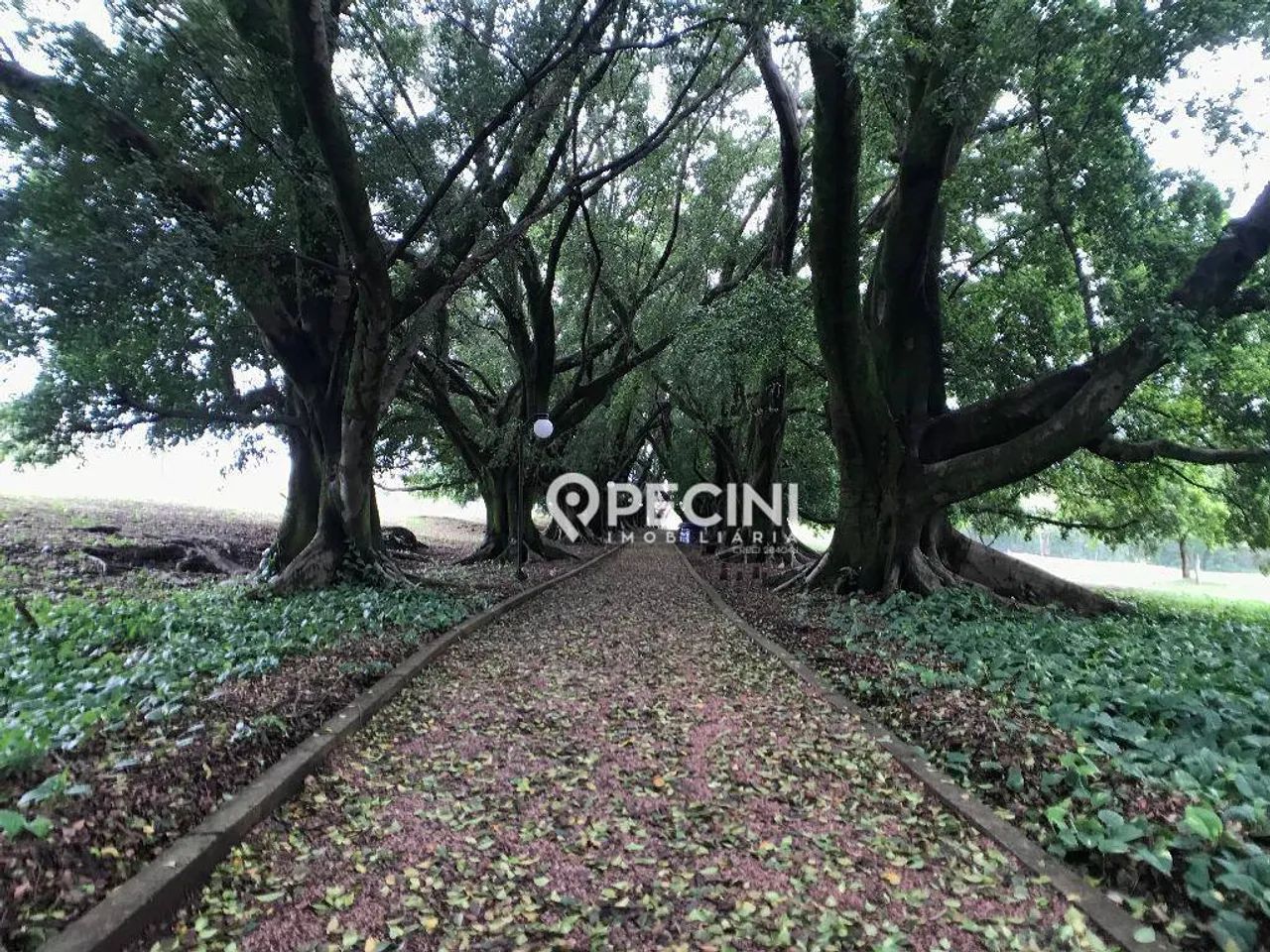 Terreno à venda, 504 m² - Jardim do Horto - Rio Claro/SP - Foto 2