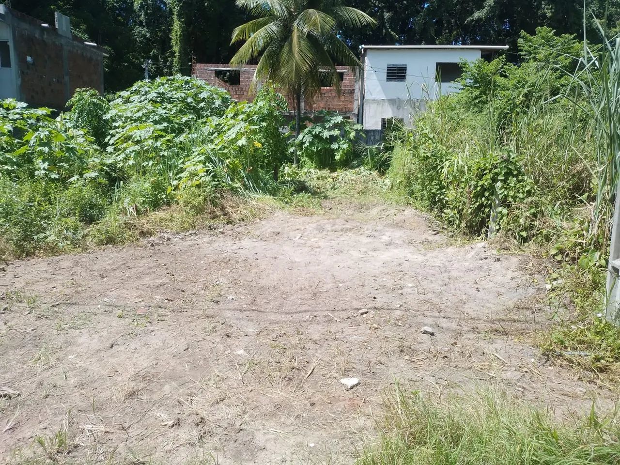 foto - Recife - Casa Amarela