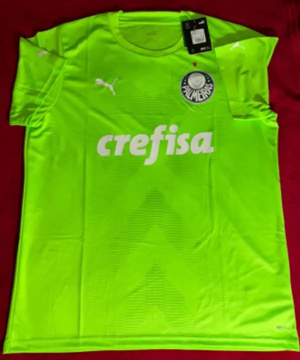 Palmeiras goleiro 