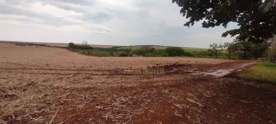 Fazenda 154 Alqueires