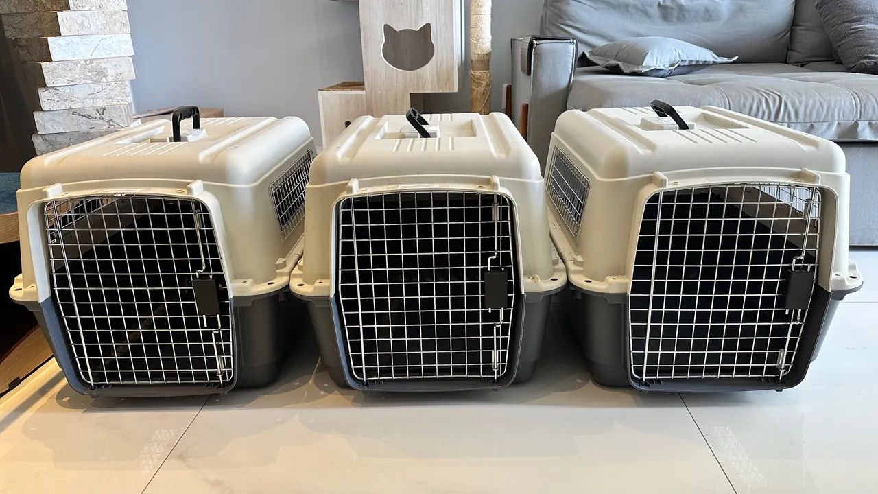  Caixa de Transporte para Cães e Gatos