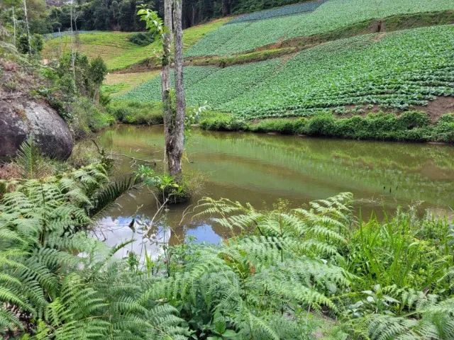 Área nobre (46.000m2) com casa de apoio em Pedra Azul! - Foto 10