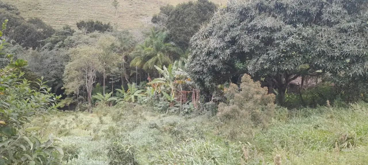 Terreno próximo ao Cantinho da tilápia codigo: 85098 - Foto 5